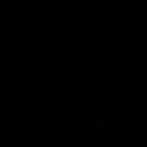 Meet your Posher, Gabrielle